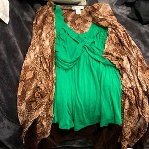 Snakeskin pull over and green blouse